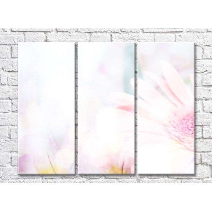 Pictură Magic Color White Transparent background with flowers (500090)