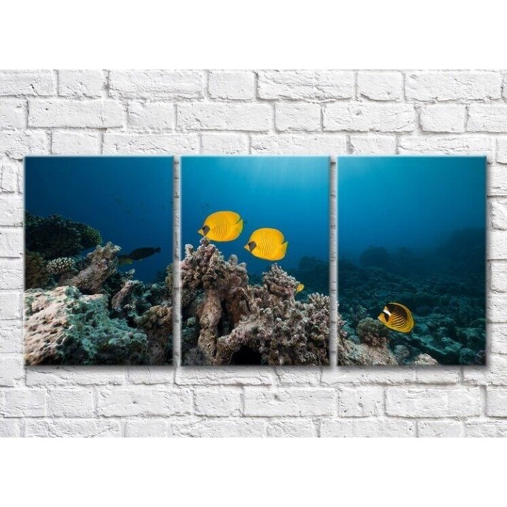 Pictură Magic Color Yellow fish swimming in the sea (3469260)
