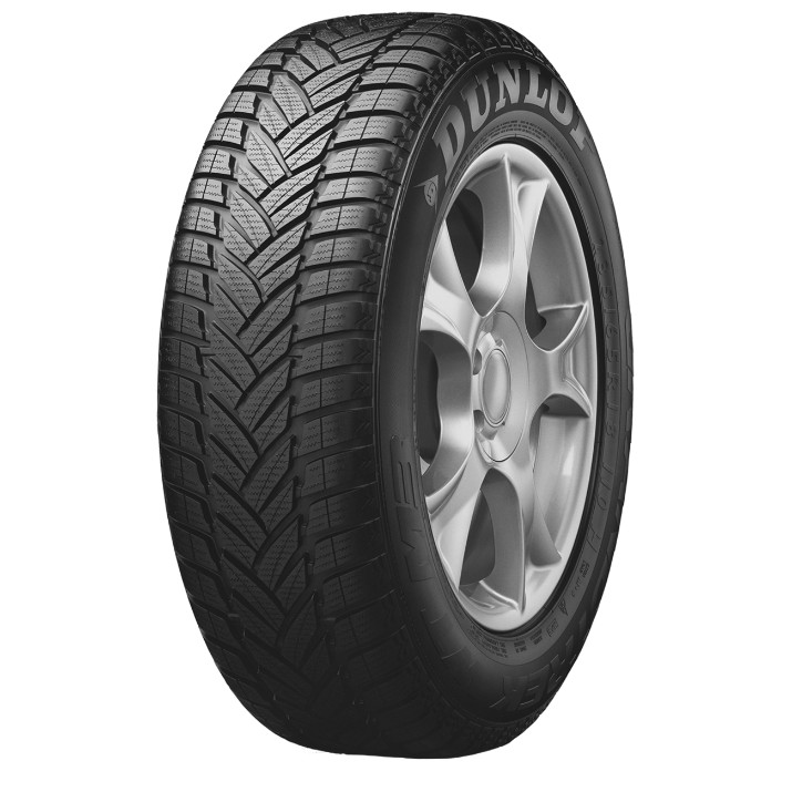 Шина Dunlop Grandtrek WT M3 255/50 R19