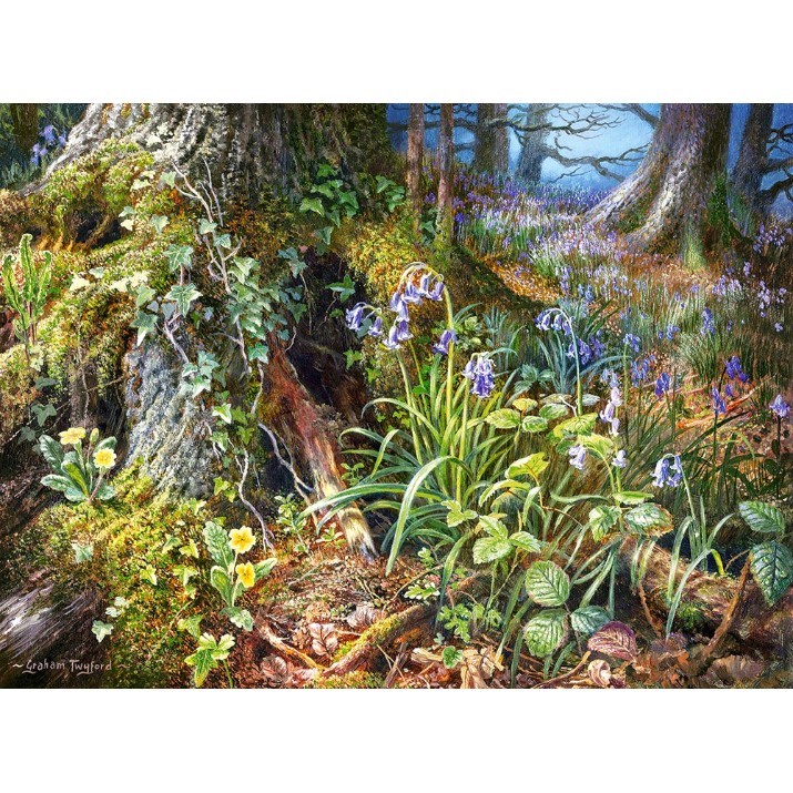 Puzzle Castorland 2000 From Rusland Woods (C-200764)