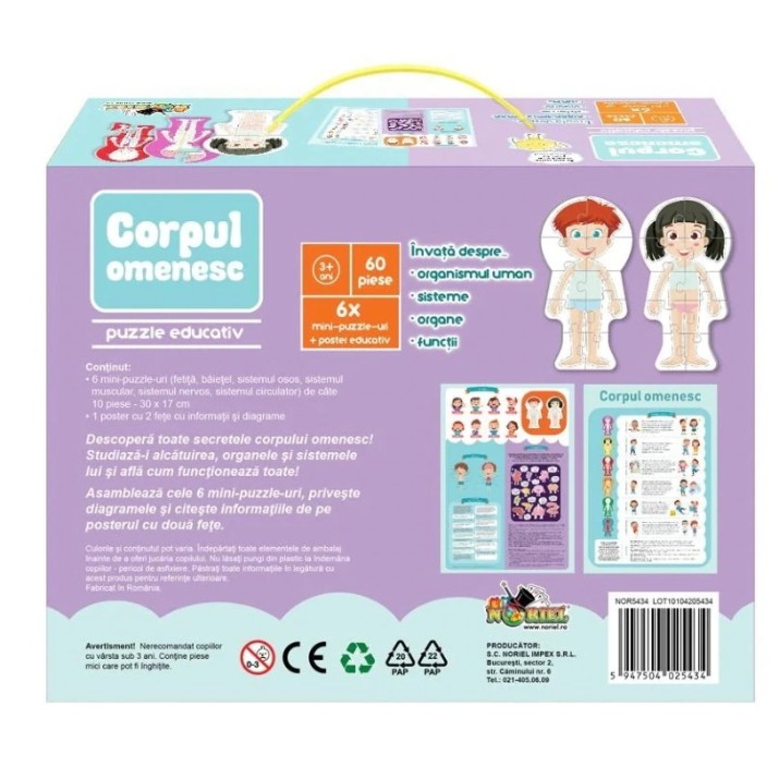 Пазл Noriel 60 Invata Corpul Omenesc (NOR5434)