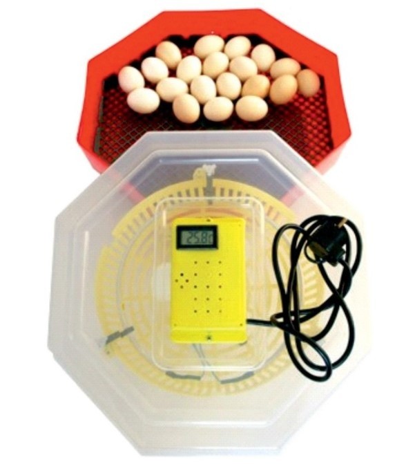 Incubator ERT-MN 9051/INC4
