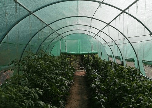 Плёнка Tehno MS 4.5x3x2m (1246)