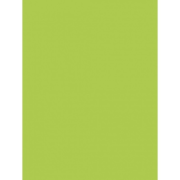 Hartie copiator Mondi A4 IQ Color Limegreen 500p 80g/m2 LG46