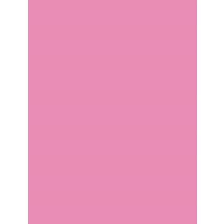 Бумага для печати Mondi A4 IQ Color Neon Pink 500p 80g/m2 NEOPI