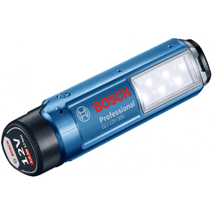 Набор Bosch GSR 120 LI+GLI 12V-300 (B06019G8004)