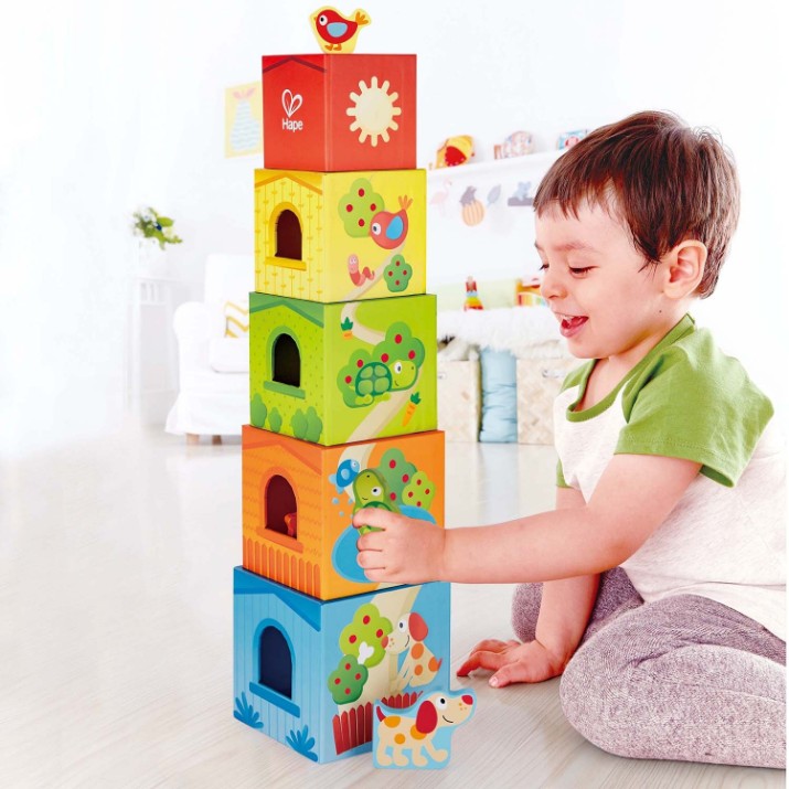 Кубики Пирамидка Hape Friendship Tower (E0451A)
