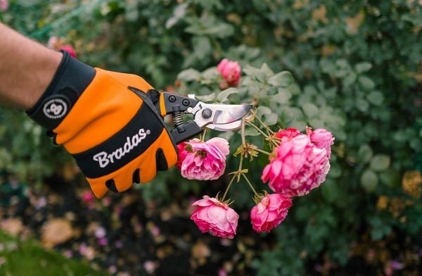 Foarfecă de gradină (secatore) Bradas KT-V1035