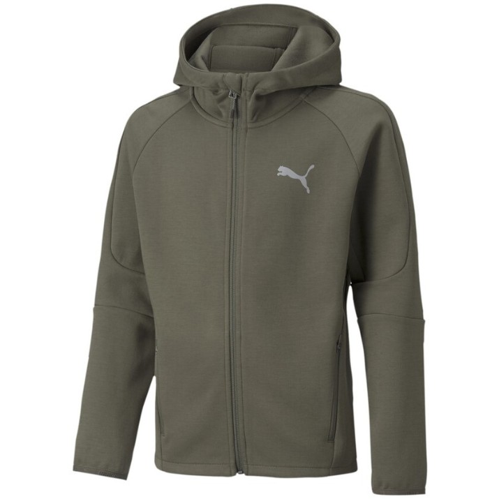 Детская толстовка Puma Evostripe Full-Zip Hoodie B Grape Leaf 176