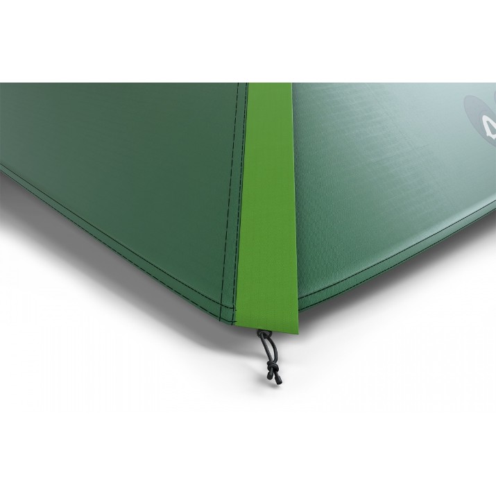 Cort Husky Boyard 4 Plus Green