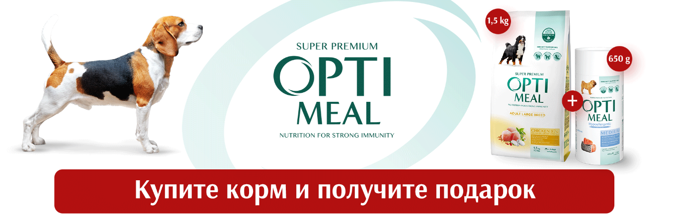 Вкусные подарки!