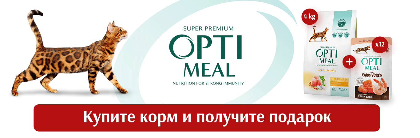 Вкусные подарки!