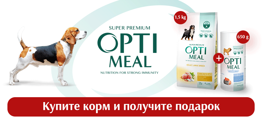 Вкусные подарки!