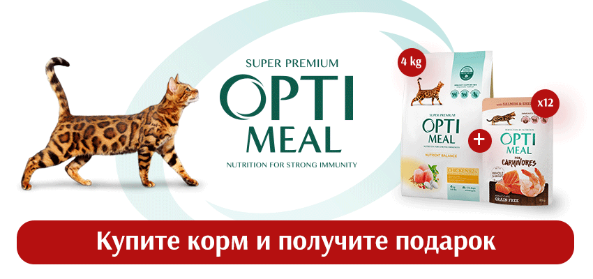 Вкусные подарки!