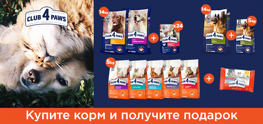 Вкусные подарки!