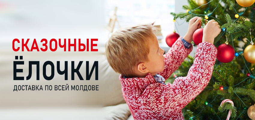 Зимняя сказка!