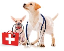 Farmacie veterinară