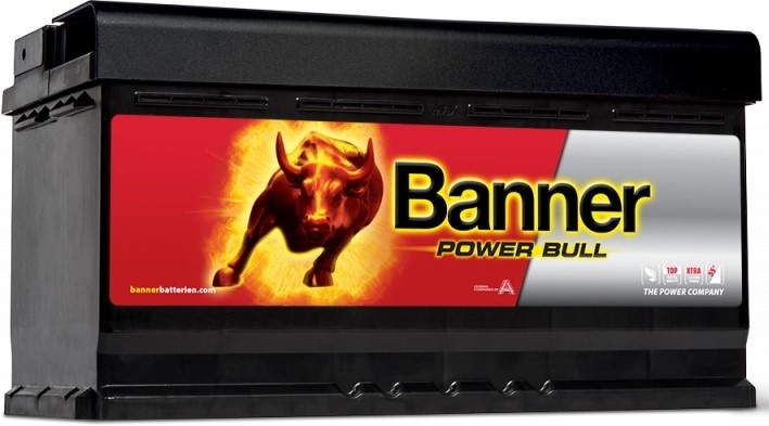 Acumulatoar auto Banner Power Bull P95 33