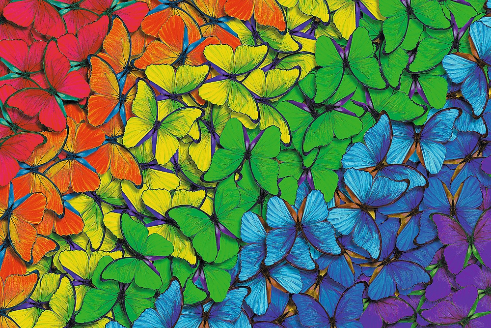 Puzzle Trefl 501 Rainbow Butterflies (20159)