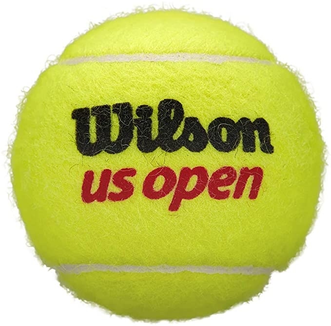 Мячи для тенниса Wilson Us Open (WRT11620L)