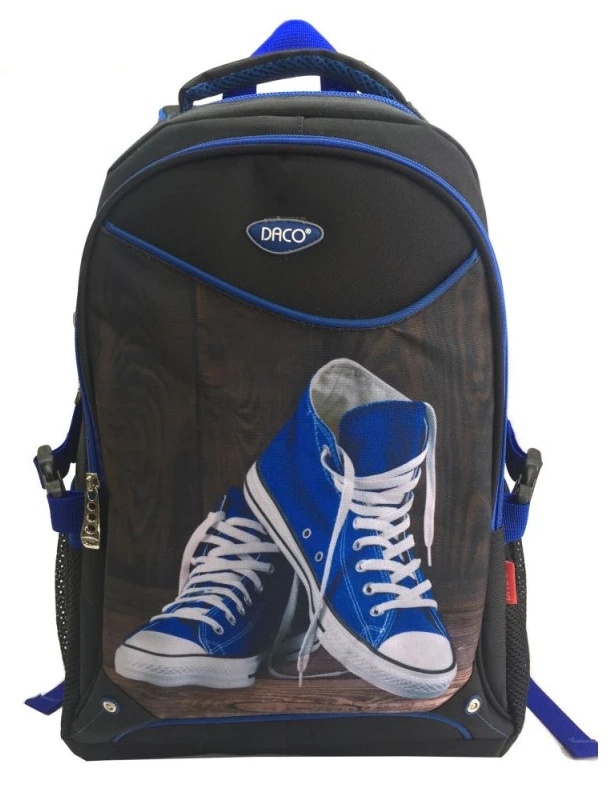 Школьный рюкзак Daco GH424