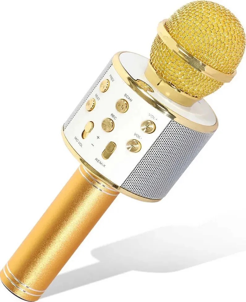 Microfon Kinder WS-858