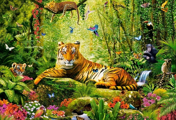 Puzzle Castorland 500 His Majesty The Tiger (B-53711)