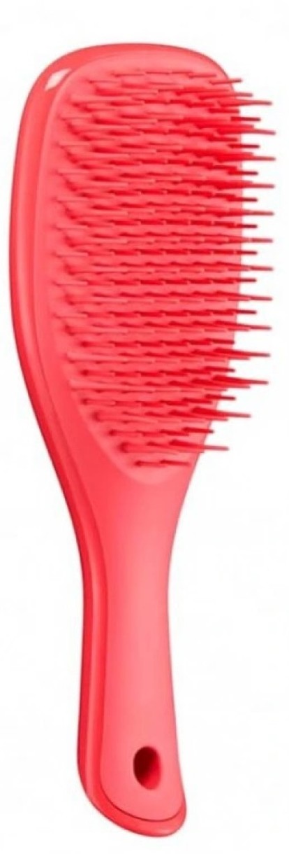 Расческа для волос Tangle Teezer Mini Wet Detangler Pink Punch