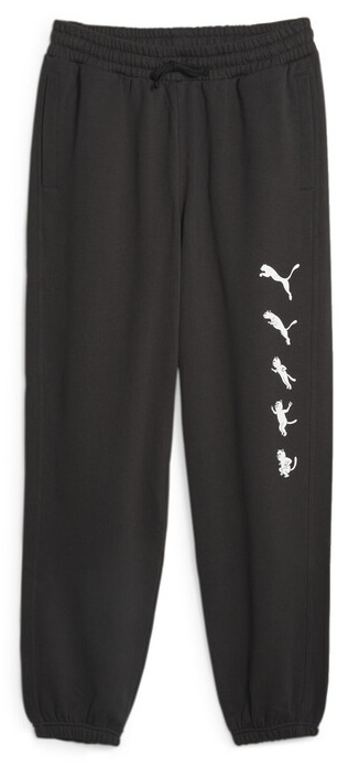 Мужские спортивные штаны Puma X Ripndip Sweatpants Tr Puma Black XXL