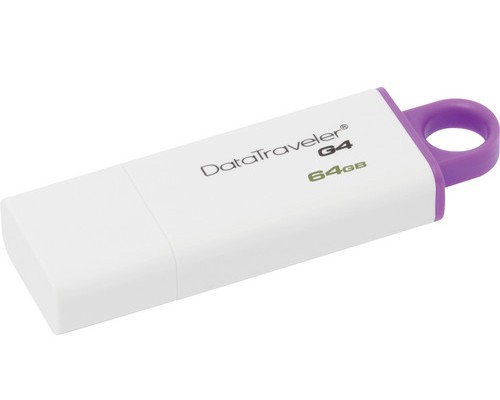 USB Flash Drive Kingston DataTraveler G4 64Gb (DTIG4/64GB)