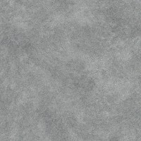 Tapete Rasch 588361 Metal Spirit