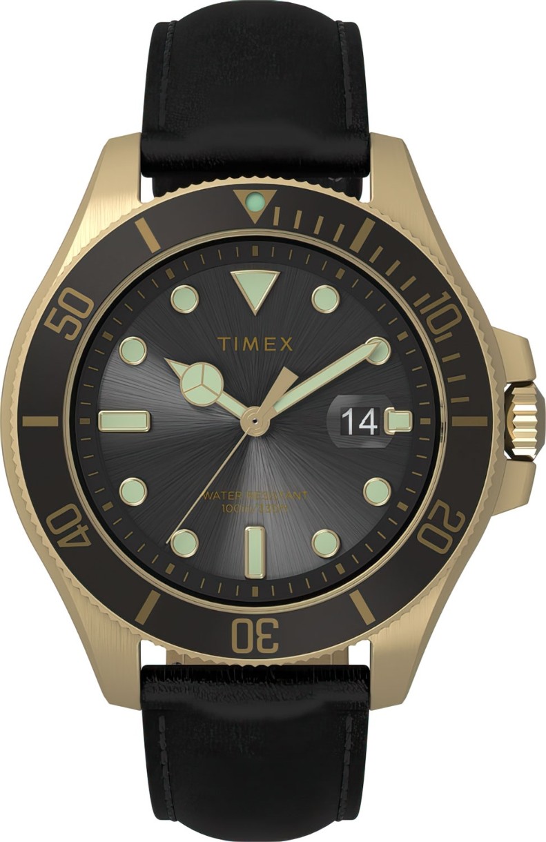 Наручные часы Timex TW2V42200