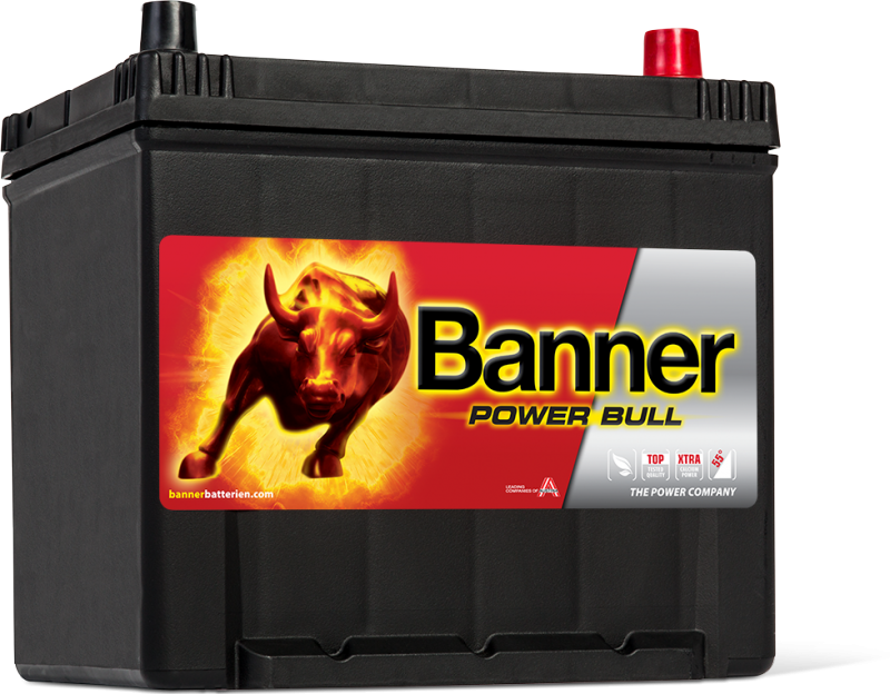 Автомобильный аккумулятор Banner Power Bull P60 62