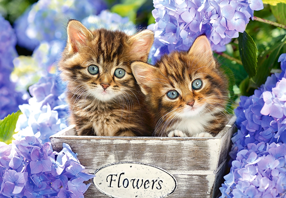 Пазл Castorland 1500 Cute Kittens (C-151561)