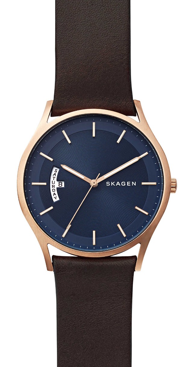 Наручные часы Skagen SKW6395