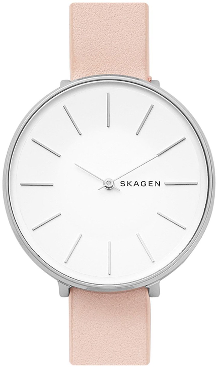 Наручные часы Skagen SKW2690
