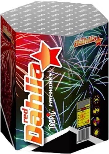 Foc de artificii Tropic Red Dahlia TB100