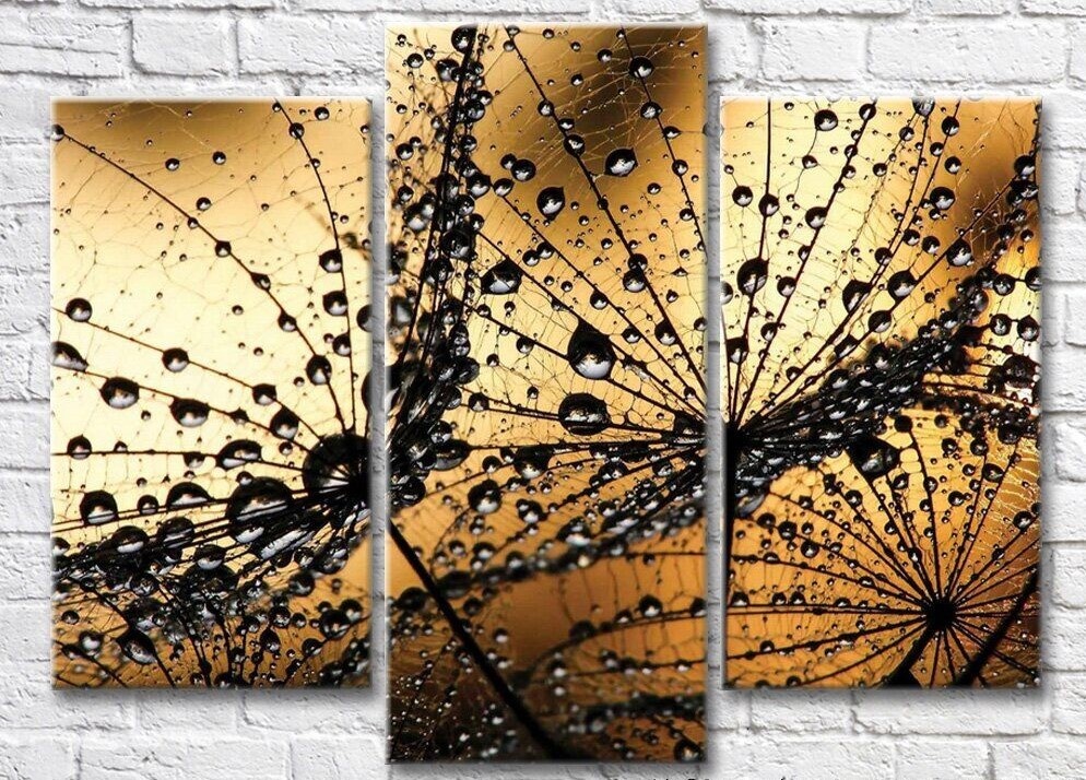Картина ArtPoster Abstract dandelion petals with dew drops (3565183)
