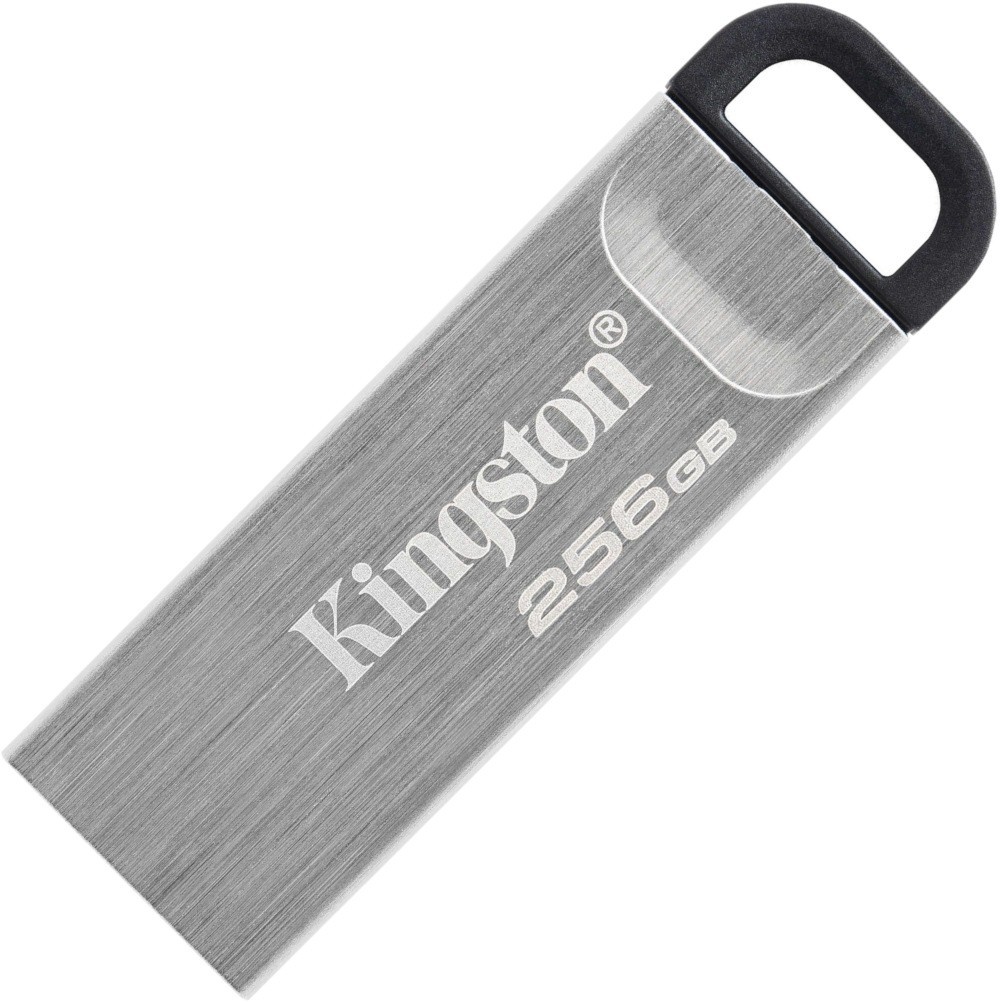 Флеш-накопитель Kingston DataTraveler Kyson 256Gb Silver (DTKN/256GB)