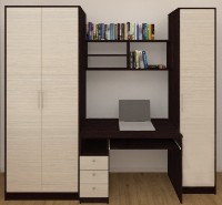 Living Bafimob Iliusha Wenge